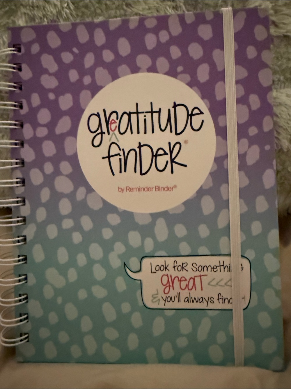 Gratitude Finder Spiral Journal by - Purple & Teal